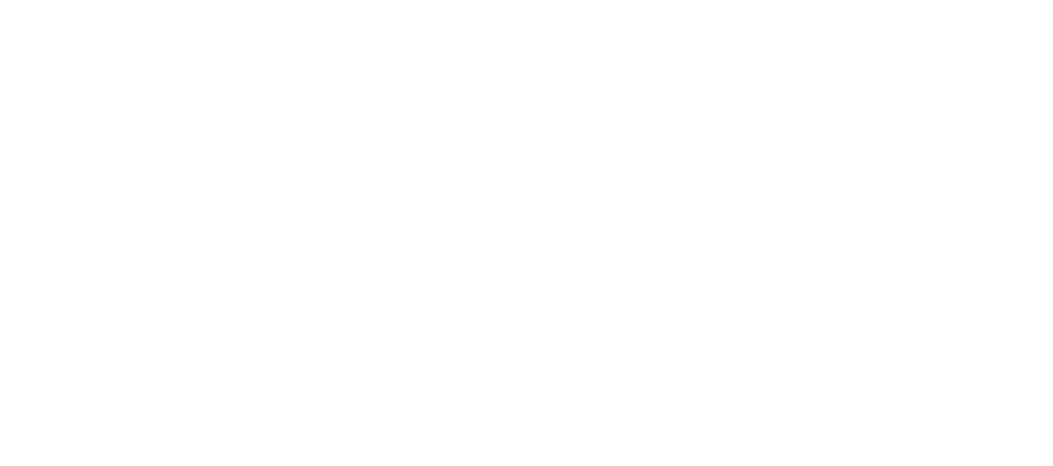 ApexIQ